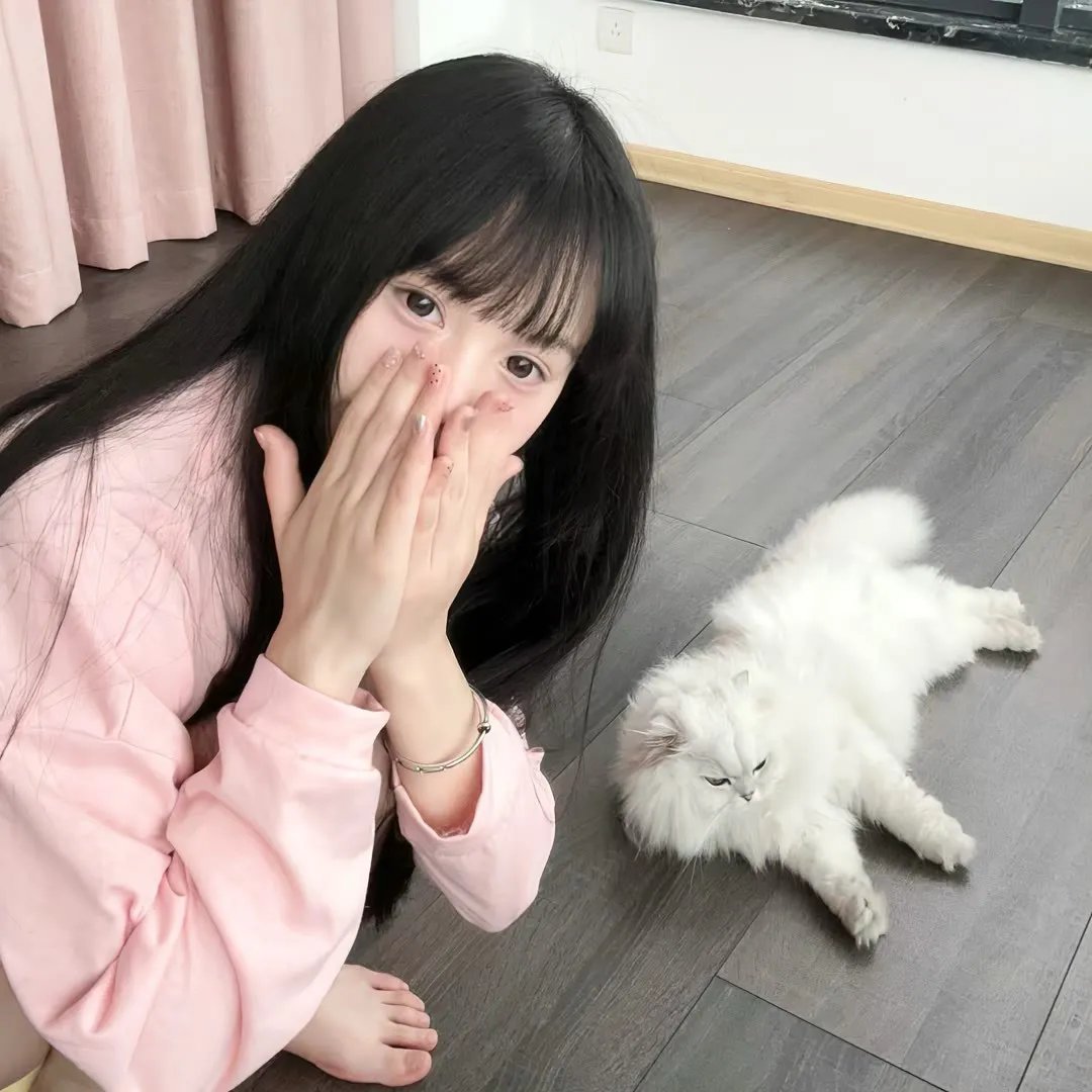 圣女贞德的审判封面